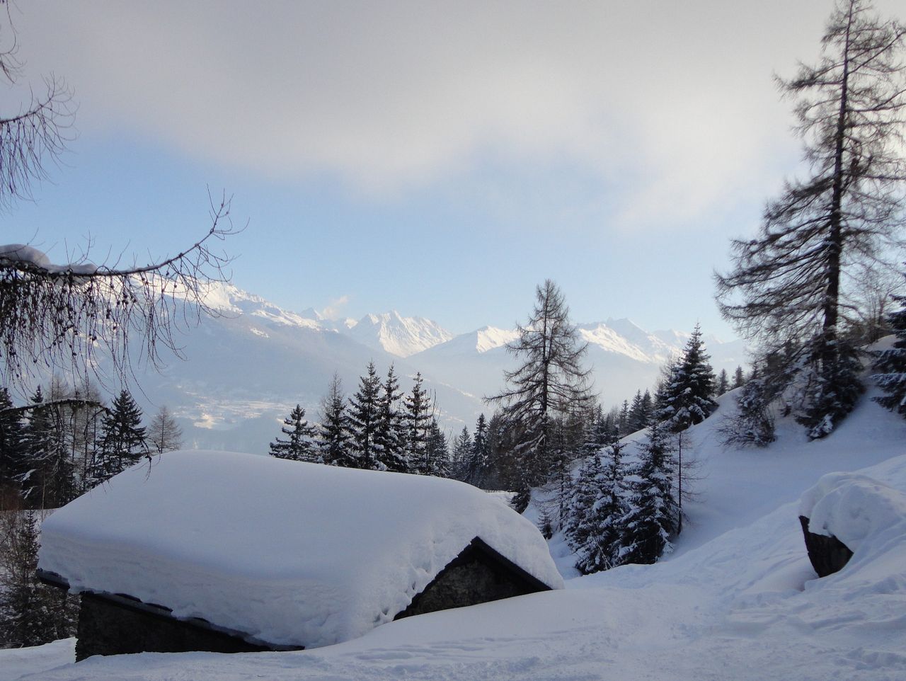 Chalet enfoui sous la neige au milieu des mélèzes