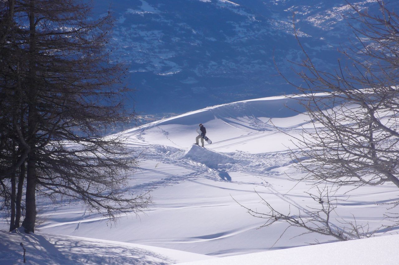 Descente dans la neige poudreuse, entre les arbres